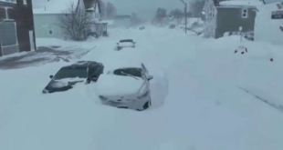 Os ecochatos do aquecimento global que somem no resfriamento global