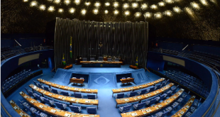 Senadores têm a chance de honrarem as calças que vestem