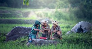 Notícias do dia, você bem informado