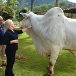 Fazenda Paciência