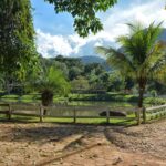 Fazenda Paciência: