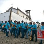 Viola, história e experiência