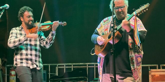 Viola, história e experiência
