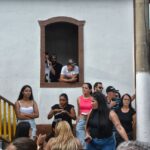 Viola, história e experiência
