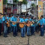 Viola, história e experiência