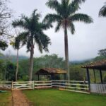 Fazenda Paciência