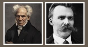 Quando a filosofia enlouquece: o vazio de Deus em Schopenhauer e Nietzsche