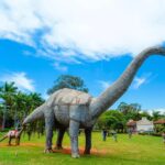 Uberaba