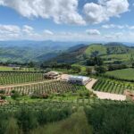 Vinhos, Azeites, Cafés e queijos de Minas